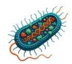 bacterium picture