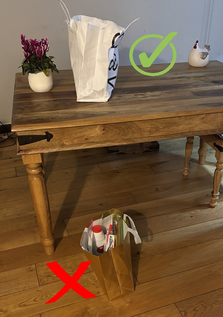 Bags on floor and bag on table