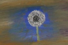 Oil painting of a dandelion with seeds ready to disperse