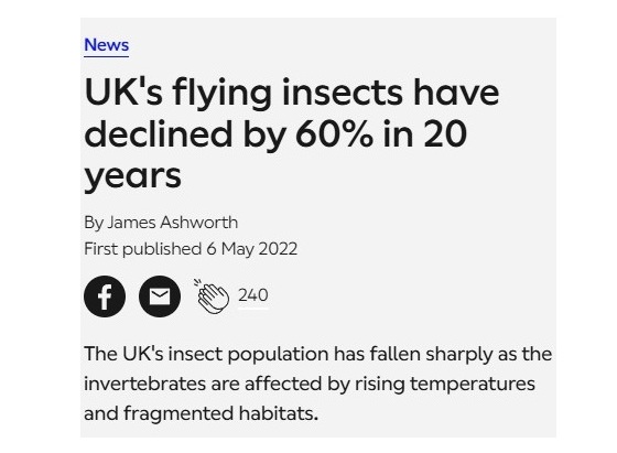 UK's flying insect population has declined by 60 percent in twenty years