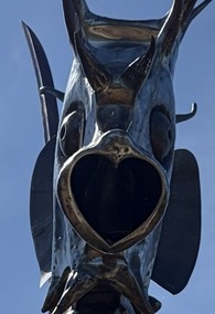 heart close up